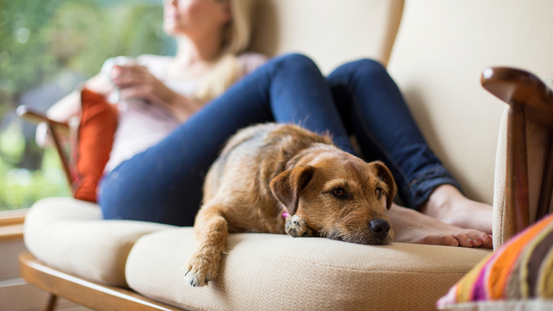 How Pain Science Can Help You Relax Your System In Under 2 Minutes